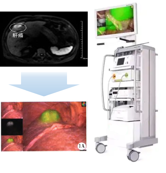 640 (14).png 640 (14).png