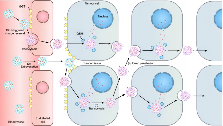 屏幕截图 2024-09-02 103624.jpg 屏幕截图 2024-09-02 103624.jpg