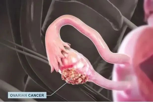 640 (22222).png 640 (22222).png