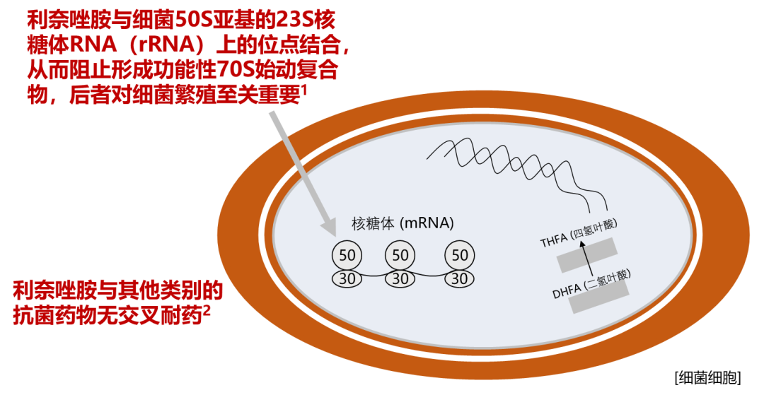 640 (2).png 640 (2).png